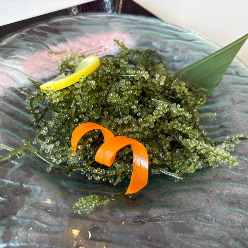 海ぶどう(おきなわワールド文化王国・玉泉洞 お土産品店 )