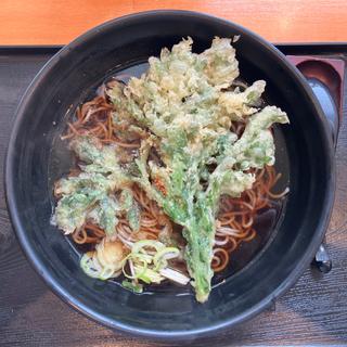 かけそば+春菊天