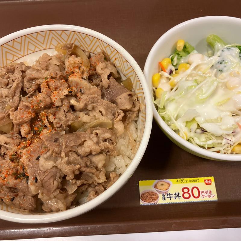 牛丼 並+サラダ(すき家 多摩乞田店 )