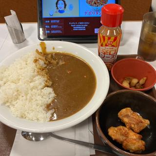 カレー（並）+からあげ+フライドガーリック