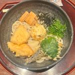 鶏天と玉子天の ぶっかけうどん(杬之蔵 イオンモール京都桂川店 （モトノクラ）)