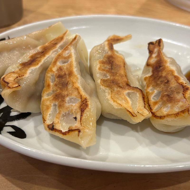餃子(松戸富田麺旦)