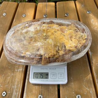 カツ丼　特盛(お弁当たけ)