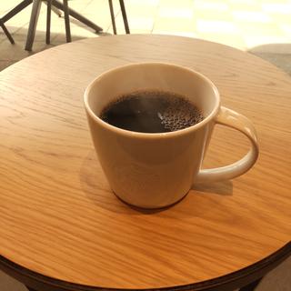 ドリップコーヒー トール