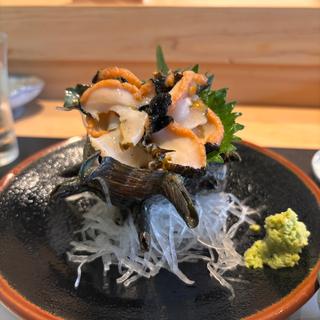 サザエのお刺身(寿司◯もと)