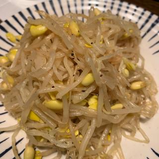 もやしナムル(てんぐ大ホール 池袋サンシャイン通り店)