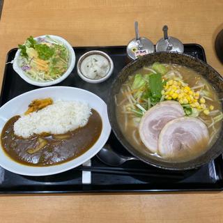 半ワープメンセット(ワープ116 （ワープイチイチロク）)