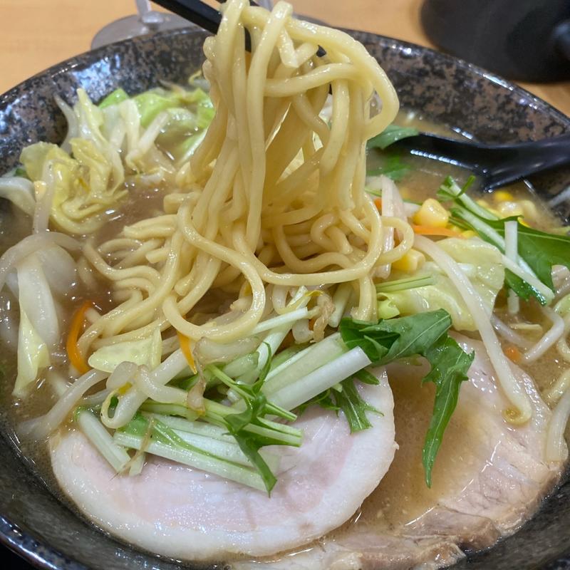 半ワープメンセット(ワープ116 （ワープイチイチロク）)