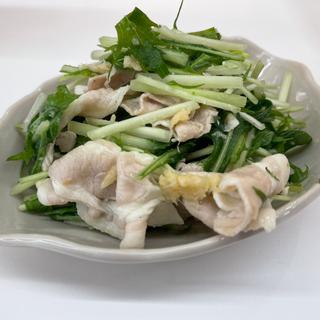 冷しゃぶサラダ(anata)