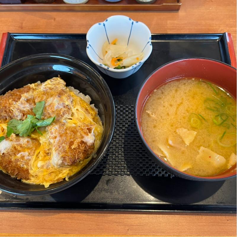 ヒレかつ丼(ごはん処 かつ庵 泉南岡田店)