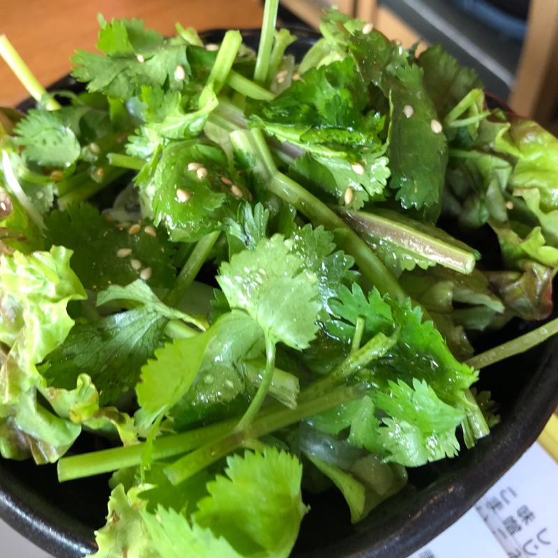 パクチーサラダ(大衆食堂 BEETLE)