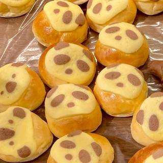 クリーム・パンダ(ハイジ )