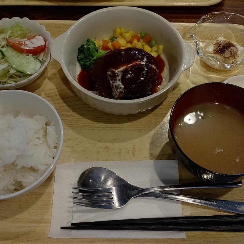 ハンバーグ定食(ごはん時々酒|まごえむ)