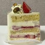 シャンティアラピスターシュ