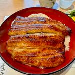 鰻丼（桜）