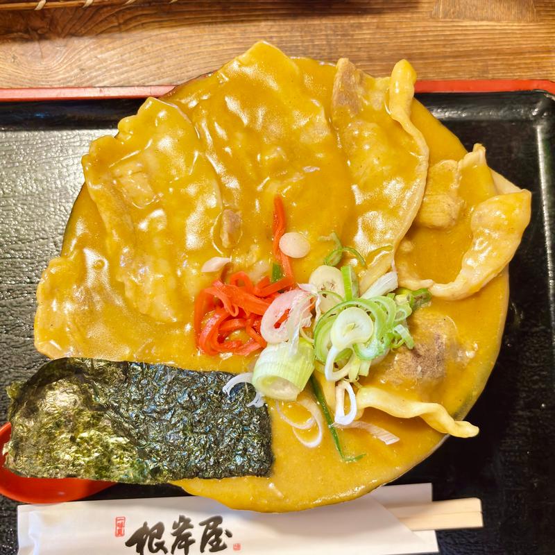 TOKYO-Xカレー丼うどん並(根岸屋 )