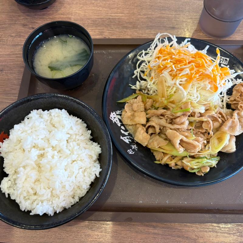 すたみな焼き定食(伝説のすた丼屋 横浜飯島町店)