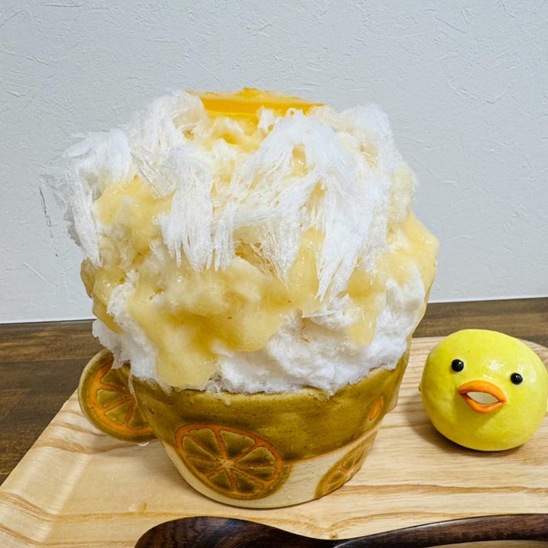 国産レモンと紅はっさく(工房meguco)