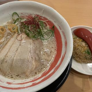 虎のドラ1ラーメン➕ミニ炒飯(九州ラー麺 加虎 住吉本店)