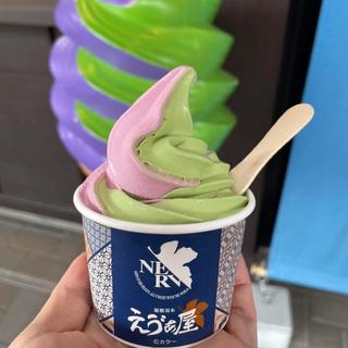 エヴァソフト