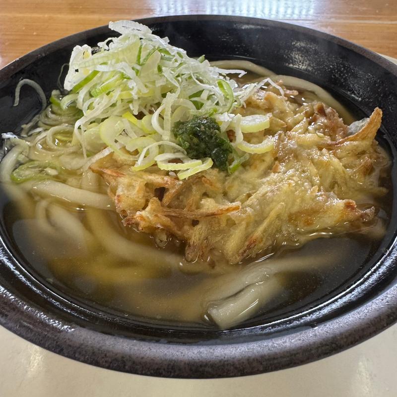 ごぼう天うどん(きっちょううどん 都城吉尾店 )