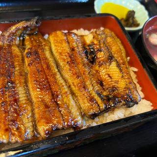 うな重肝吸付き