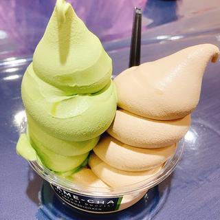 八女抹茶とほうじ茶のダブルソフト