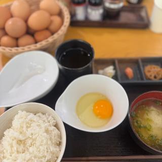 たまごかけごはんプレート(糸島カフェ ファームハウス UOVO)