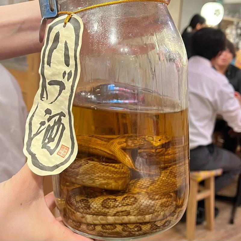 ハブ酒(沖縄酒場じゅにまーる 横浜本店)
