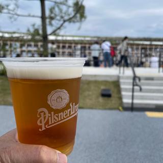 ピルスナーウルケル 生ビール(チェコパビリオン)