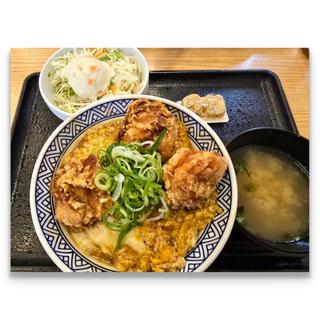 から揚げ親子丼 並＋ポテトサラダセット(吉野家 市川鬼高店)