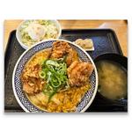 から揚げ親子丼 並＋ポテトサラダセット