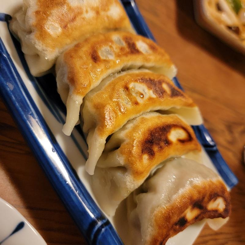 自家製ギョーザ(飛鳥)