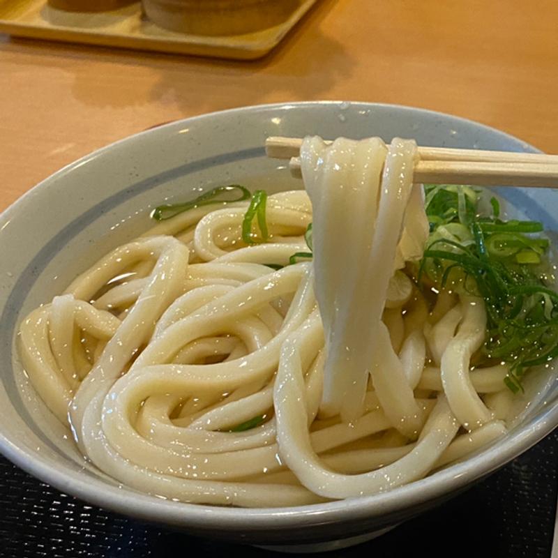 ひやかけうどん(讃岐うどん 條辺)