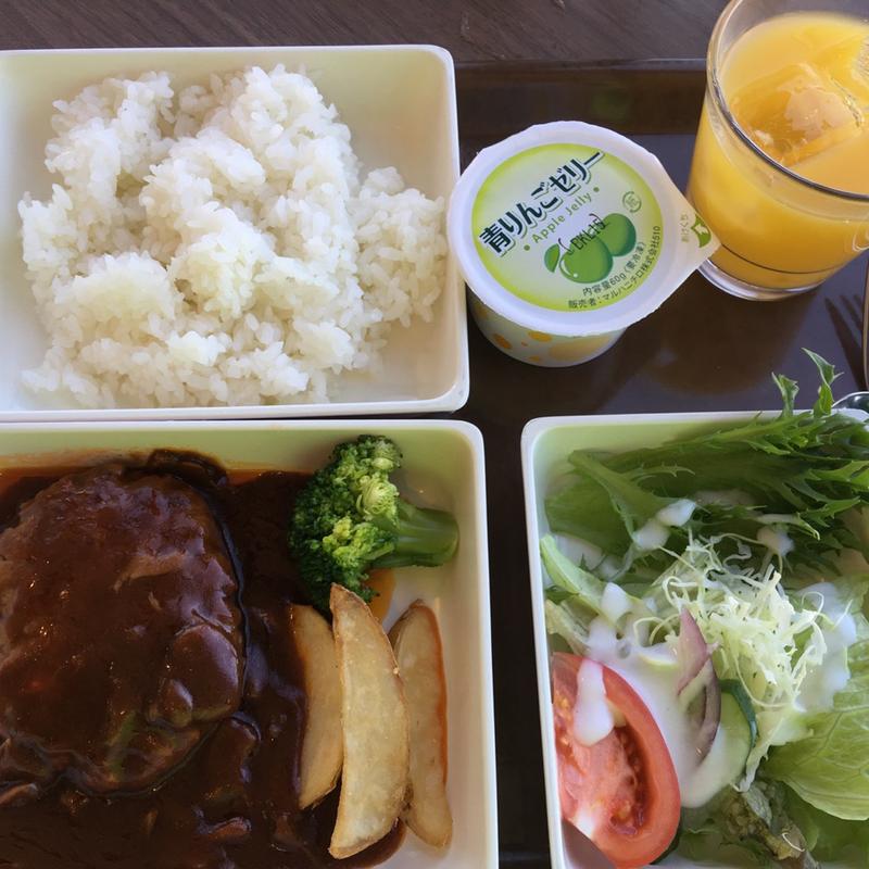 博物館オリジナル機内食風ランチ(展望レストラン「バルーン」)