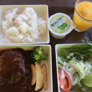 博物館オリジナル機内食風ランチ
