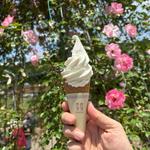 ミルクソフトクリーム