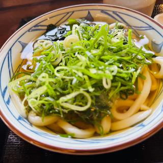 かけうどん