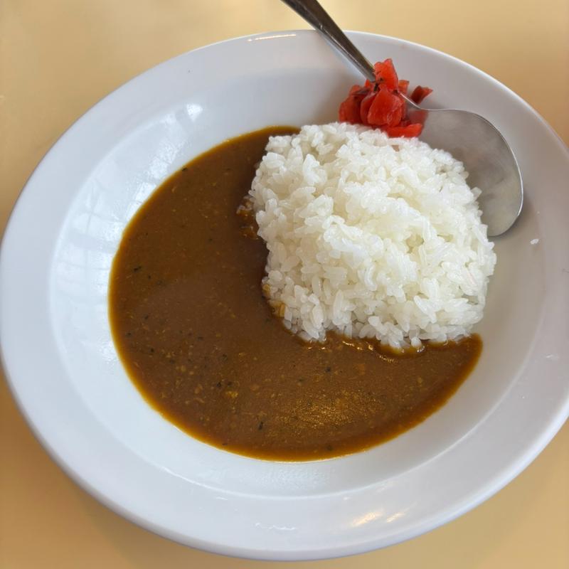 半カレーライス(かどや食堂 )