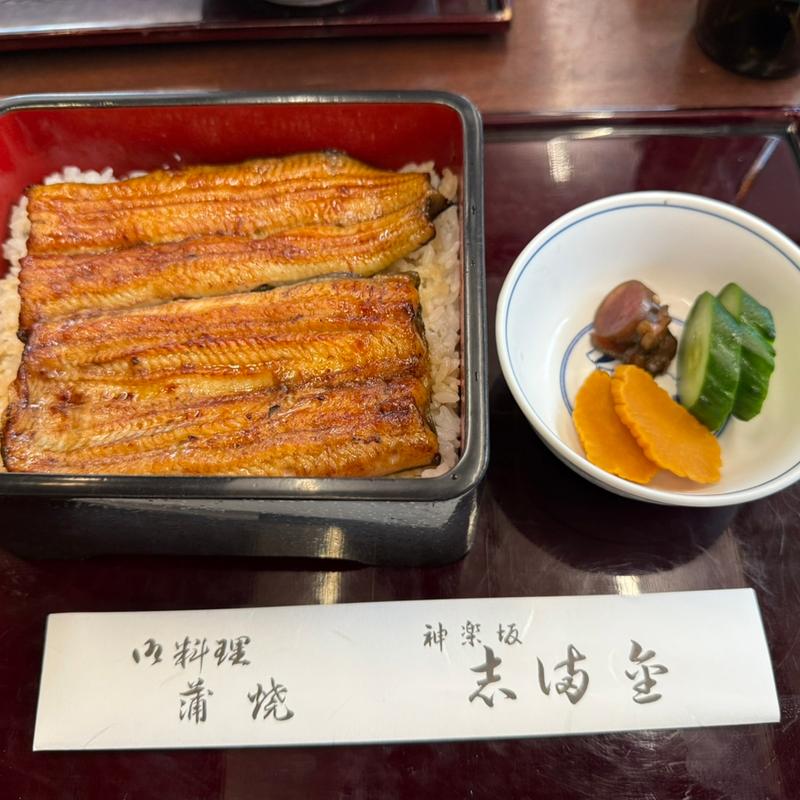 うなぎ定食(志満金)
