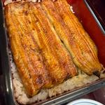 うなぎ定食