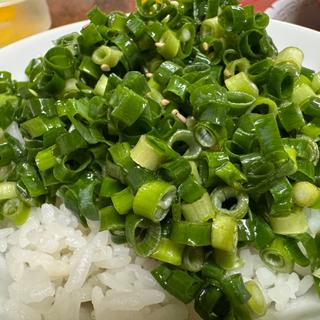 ネギかけ飯