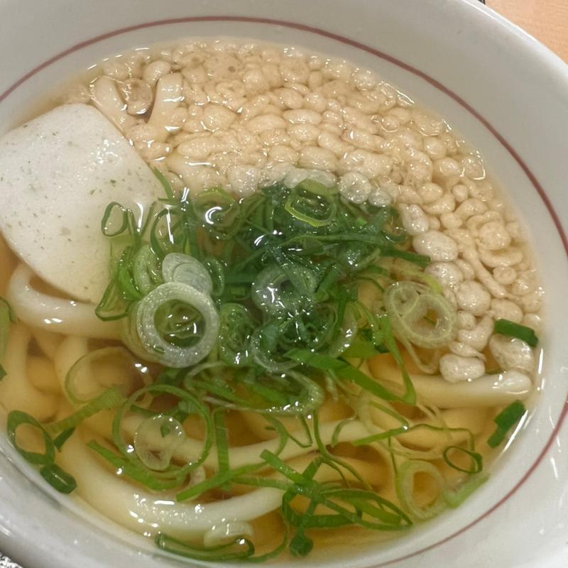 ハイカラうどん 小(なか卯 摩耶ランプ店 )