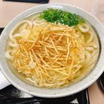 ごぼう天うどん