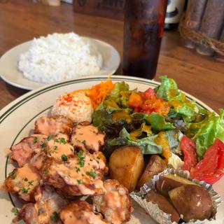 ワンプレートランチ(5019 PREMIUM FACTORY)