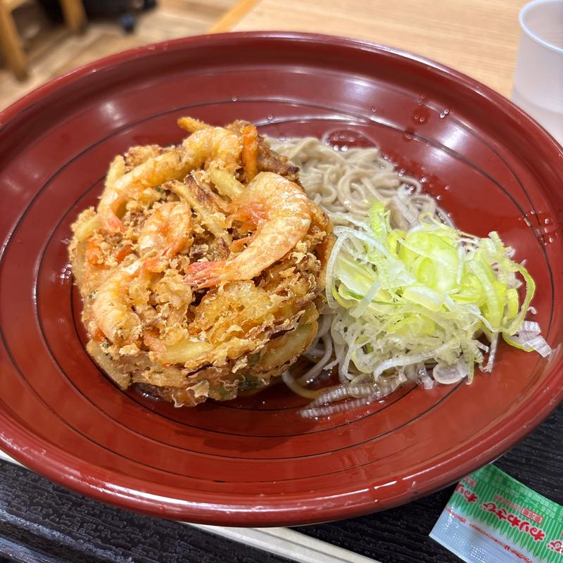 冷やしかき揚げそば(ANA FESTA羽田53番ゲートフード店)