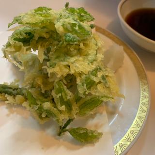 太わらびと山ウド葉の天ぷら(ほそぼそ亭)