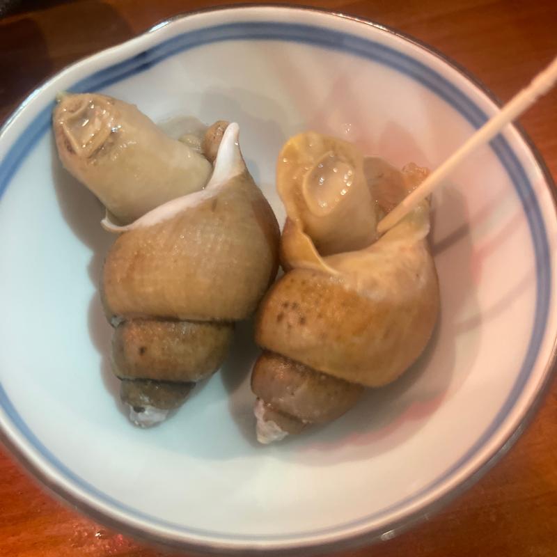 つぶ貝(美酒食彩 郷)