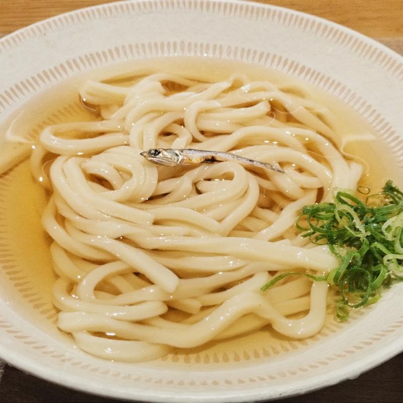 いりこのかけ（冷）(うどん いりこのお出汁)