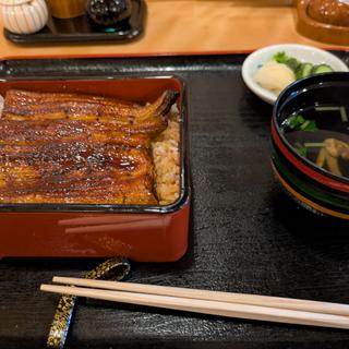 うな重(並)(満寿家)